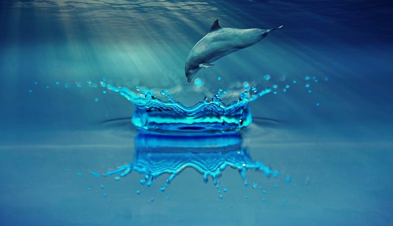 Underwater Kingdom